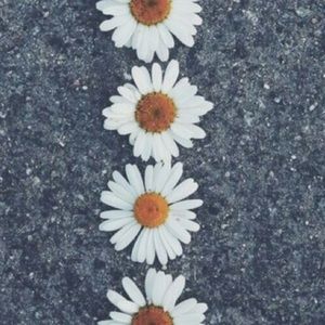 Meet your Posher, Annalise